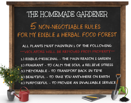 5 NON-NEGOTIABLE RULES — Before starting your own edible & herbal food forest
