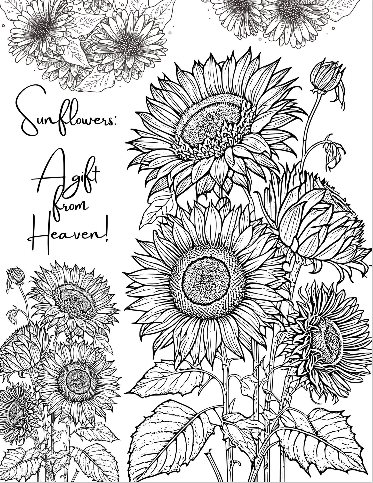 THE HOMEMADE GARDENER EDIBLE & HERBAL FOOD FOREST PDF GUIDE