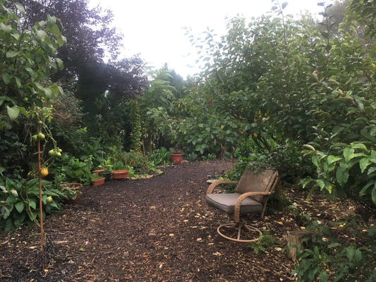 THE HOMEMADE GARDENER EDIBLE & HERBAL FOOD FOREST PDF GUIDE