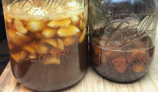 FERMENTED GARLIC IN HONEY