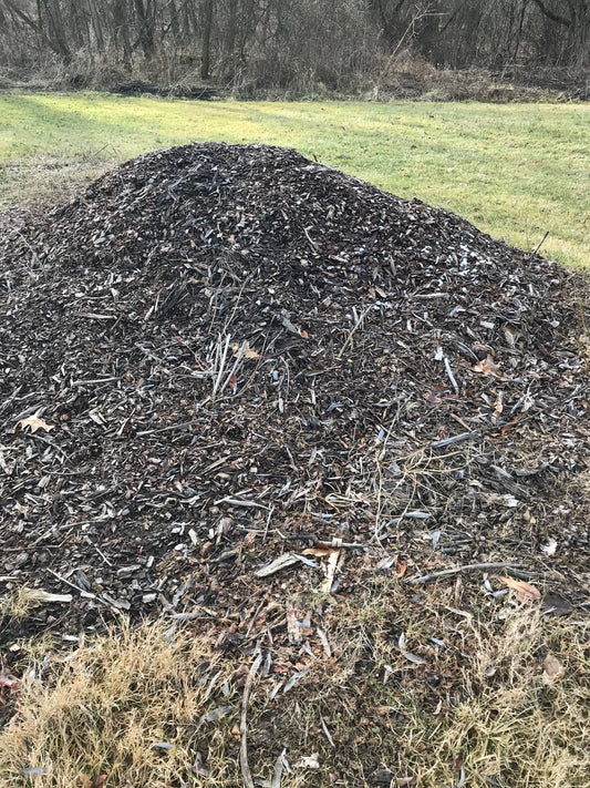 I Gave Up on Traditional Composting—And It Was the Best Thing I Ever Did!