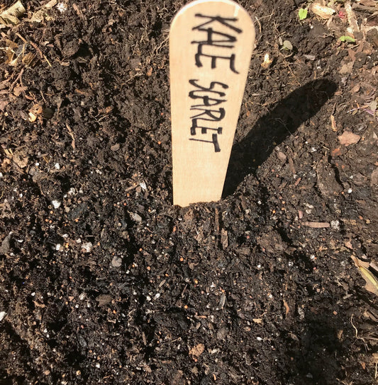 Planned Burials: Letting Nature Do the Winter Work for You